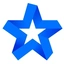 Blue Star Capital