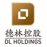 DL Holdings