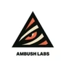Ambush Capital