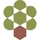 Olive Tree Capital
