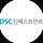 DSC Investment