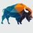 Bison Network