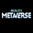 Reality Metaverse