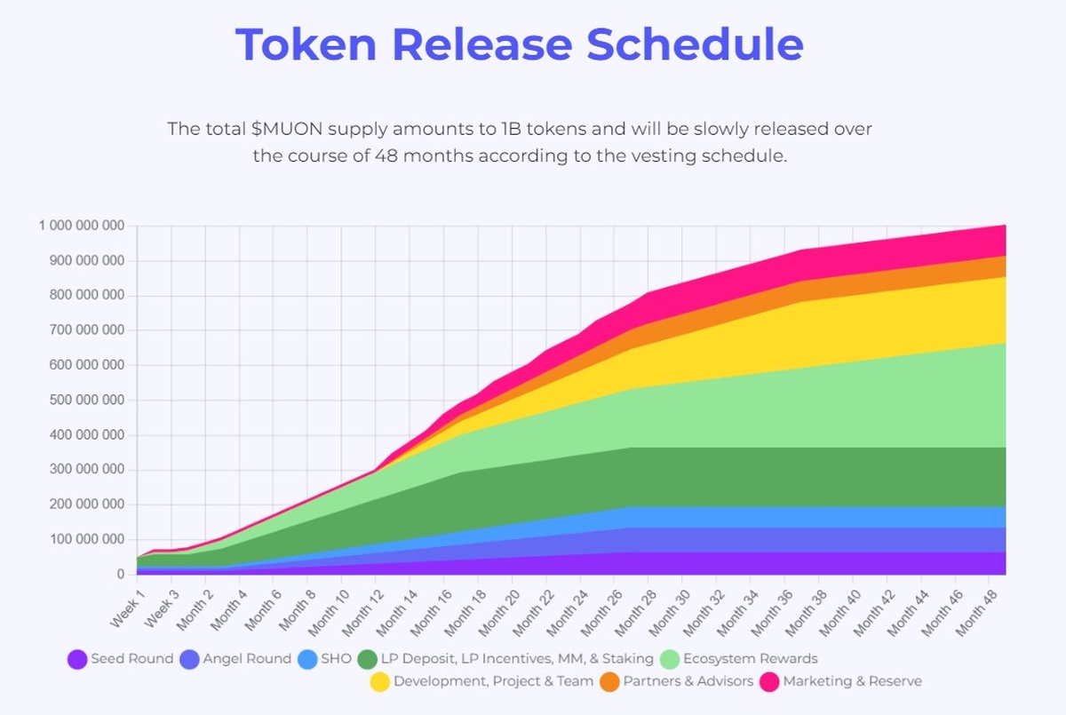 Muon Network