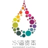 Waterdrip Capital