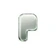 Pons