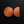 Orange Collective
