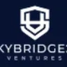 Skybridge 20 Ventures
