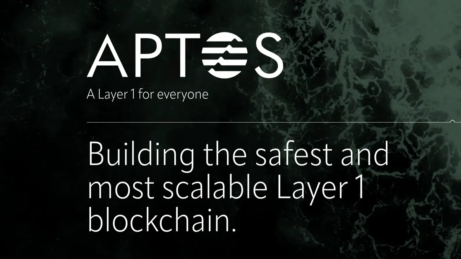 Aptos (APT) - All information about Aptos ICO (Token Sale) - ICO Drops