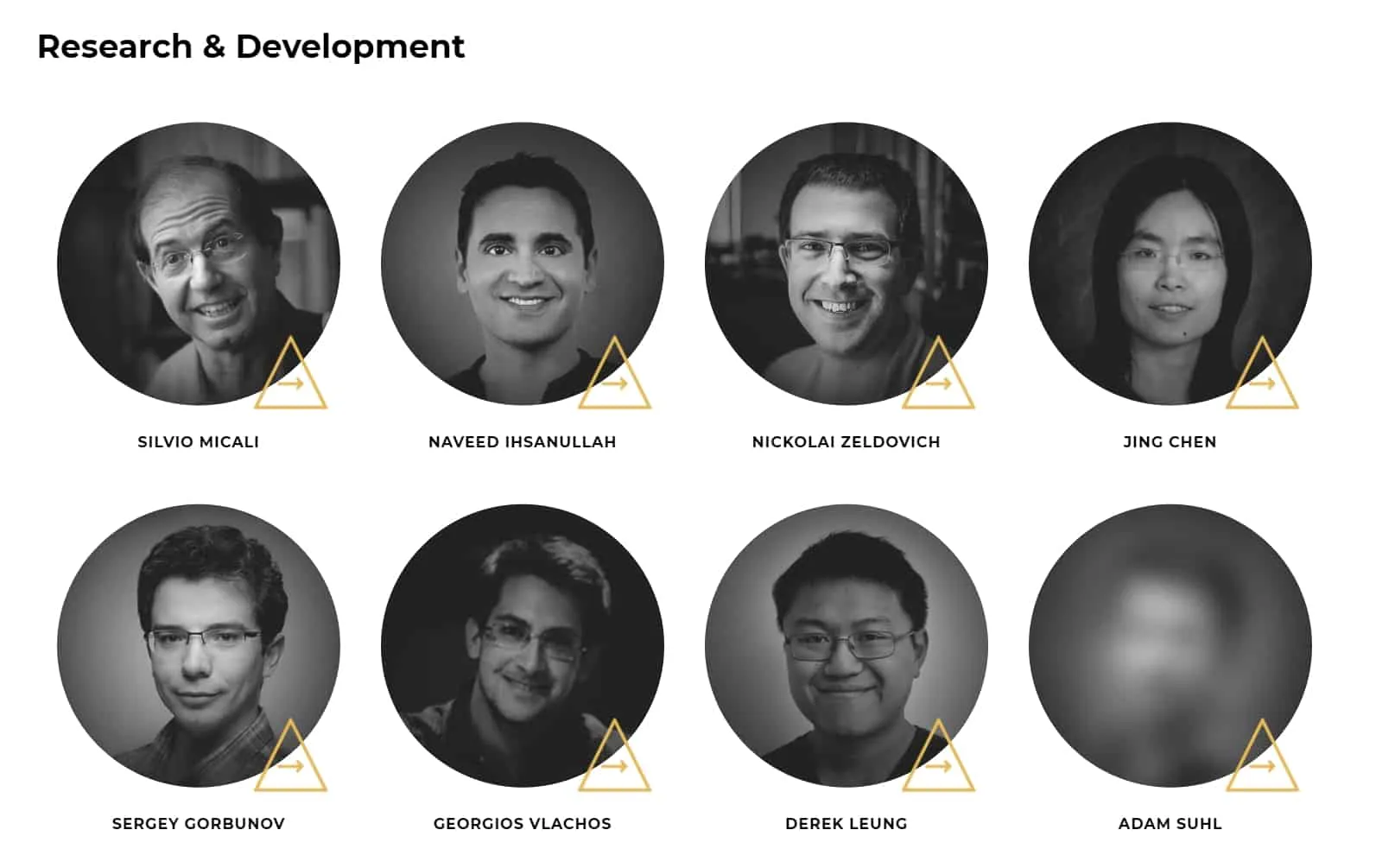 Algorand (ALGO) - All information about Algorand ICO (Token Sale) - ICO  Drops