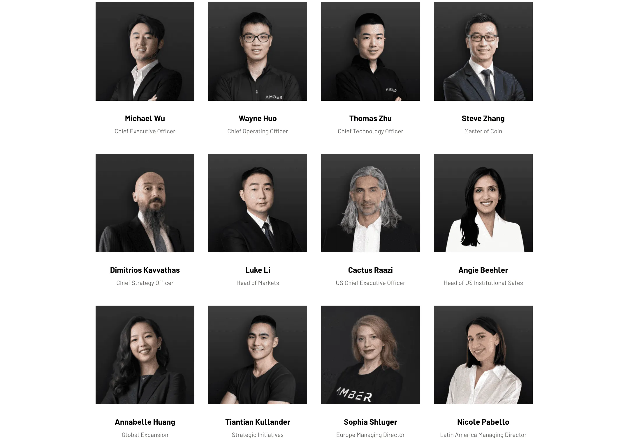 Amber Group - All information about Amber Group ICO (Token Sale) - ICO Drops