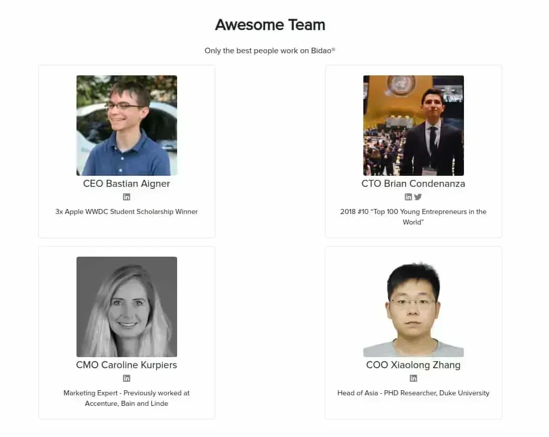 Bidao (BID) - All information about Bidao ICO (Token Sale) - ICO Drops