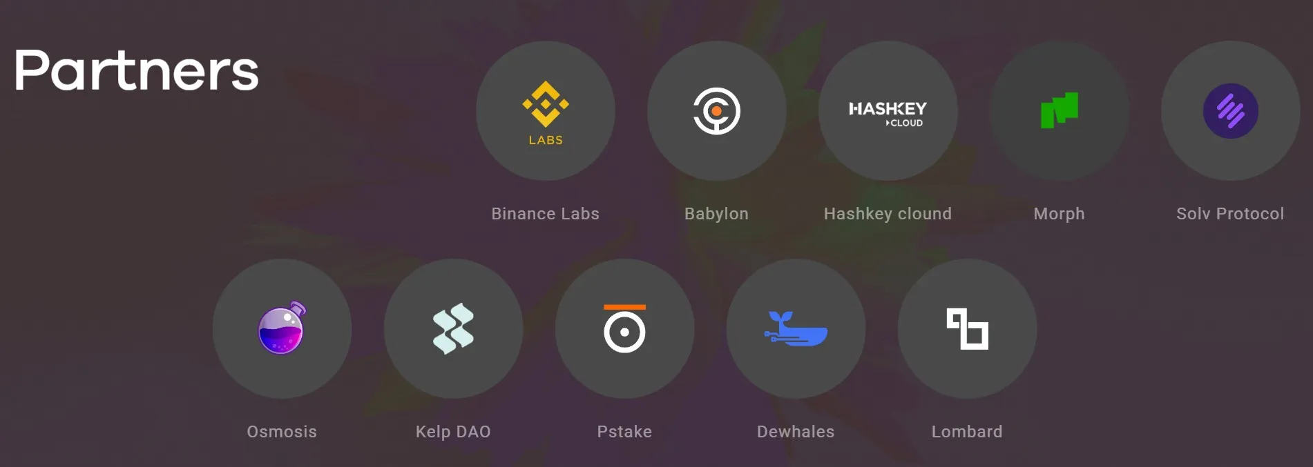 Hana Network (HANA) - All information about Hana Network ICO (Token Sale) -  ICO Drops