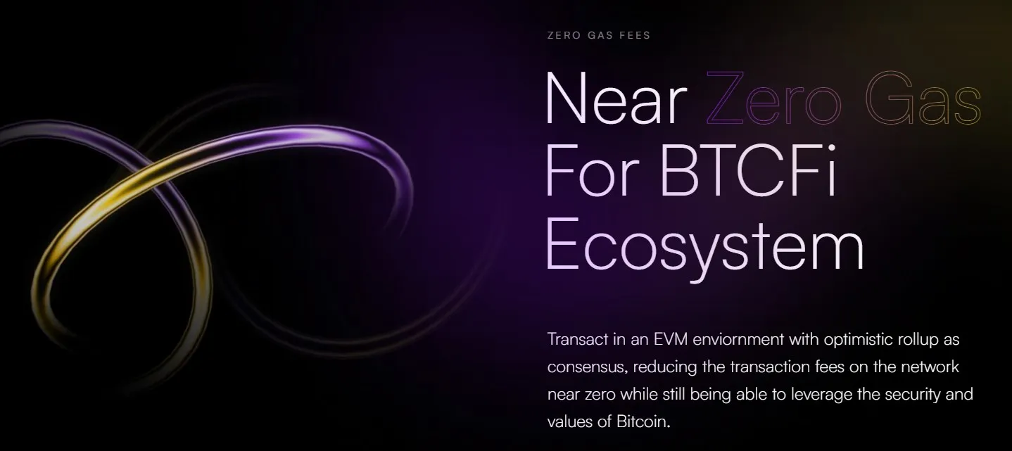 LayerEdge - All information about LayerEdge ICO (Token Sale) - ICO Drops