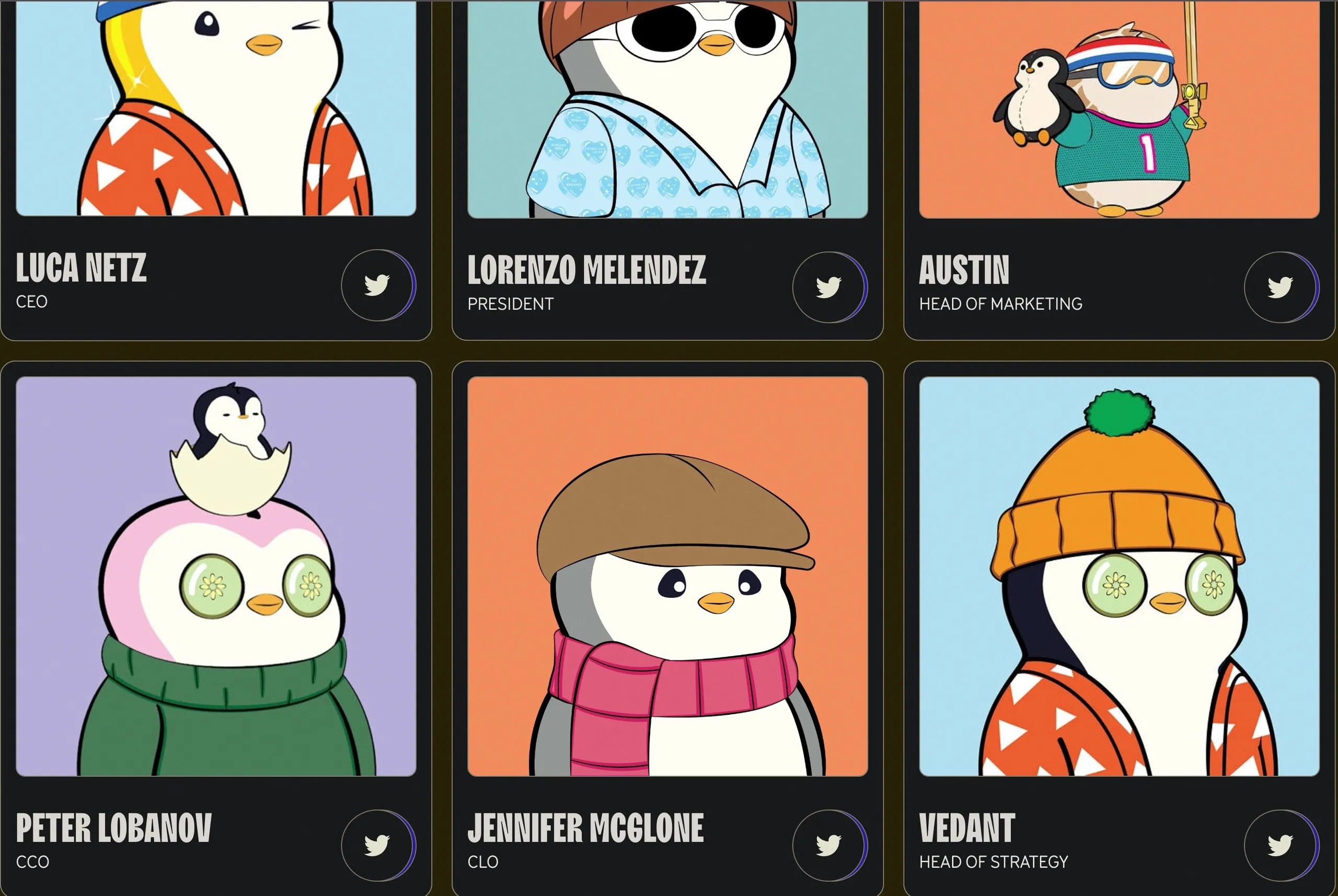 Pudgy Penguins (PENGU) - All information about Pudgy Penguins ICO (Token  Sale) - ICO Drops