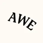 Awesome People Ventures