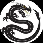 Black Dragon Capital