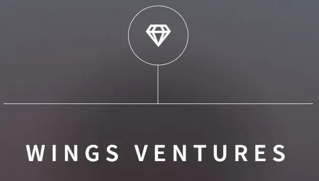 Wings Ventures