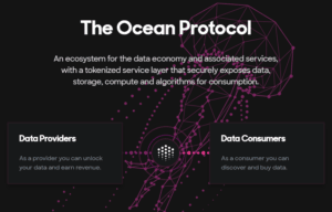 Ocean Protocol Info