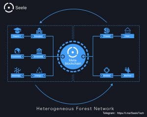 Seele Forest network