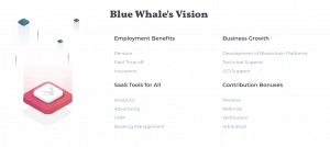 Blue Whale Vision