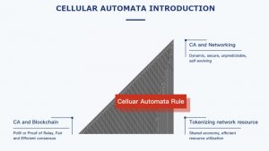 NKN Cellular automata