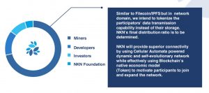 NKN Early economic model