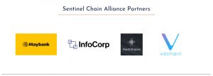 Sentinel Chain Partners