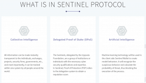 Sentinel Protocol About