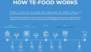 TE-FOOD How it works