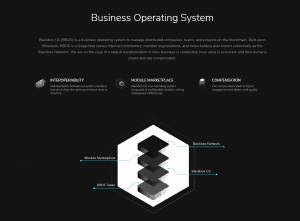Blackbox Business Operating System
