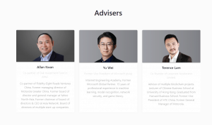 Dora Network Advisers
