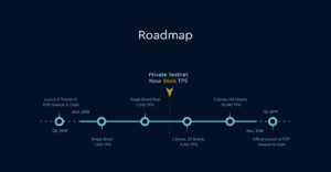 TOP Network Testnet Roadmap