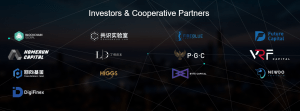 Vena Network Investors And Partners