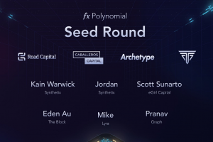 Polynomial Protocol Seed Round Investors
