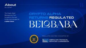 Belobaba Launchpad About