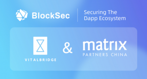 BlockSec Investors