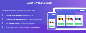 Velvet Capital Info