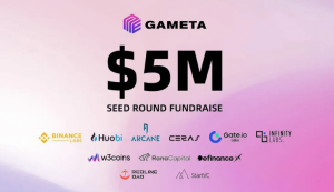 Gameta Seed Round Investors
