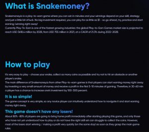 SnakeMoney About