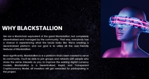 Black Stallion Info