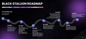 Black Stallion Roadmap