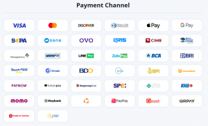 Alchemy Pay Payment Channel