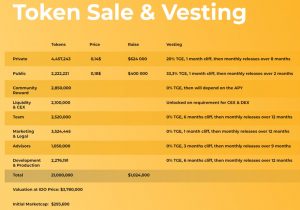 BRCStarter Token Sale & Vesting